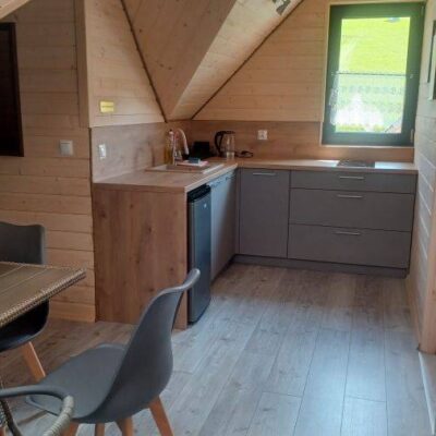 Leśny Dzban 5 lesny dzban apartament img 2