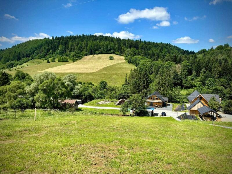lesny dzban jarzebina 2026 img (1)