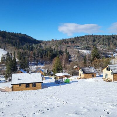 lesny dzban poziomka 2026 img (2)