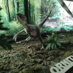 domki w solinie przy zaporze dinozaury img 16
