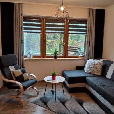 u gory apartament z kominkiem img 3