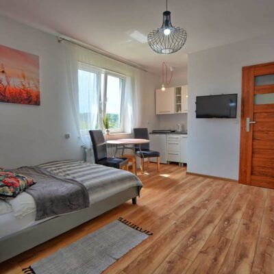 Domki Ferencówka 30 Domki Ferencowka apartamenty img 1