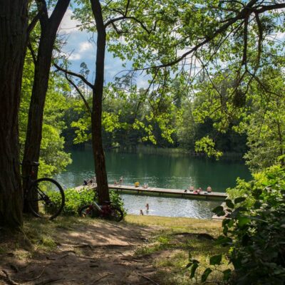 koziello domki orzyny las img 10