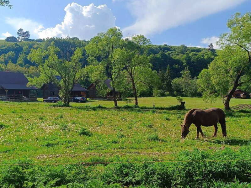 chatka nad osławą img (12)