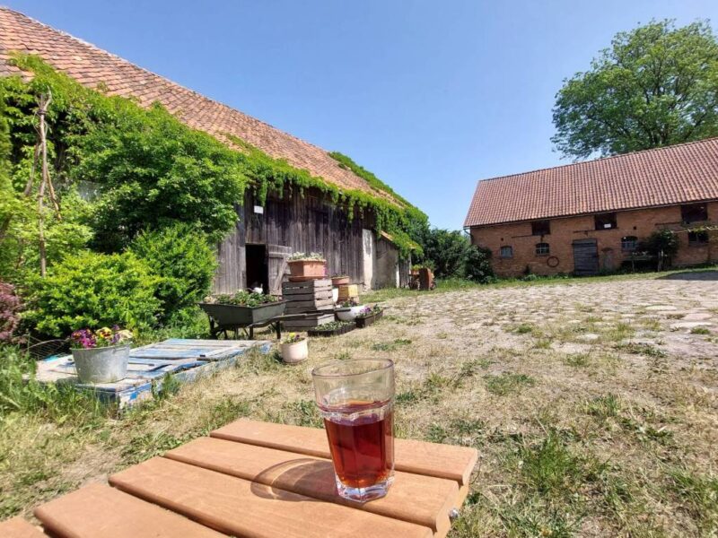 agroturystyka gizycko cisza img (2)