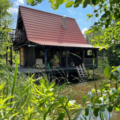 krzewinka domek img (1)