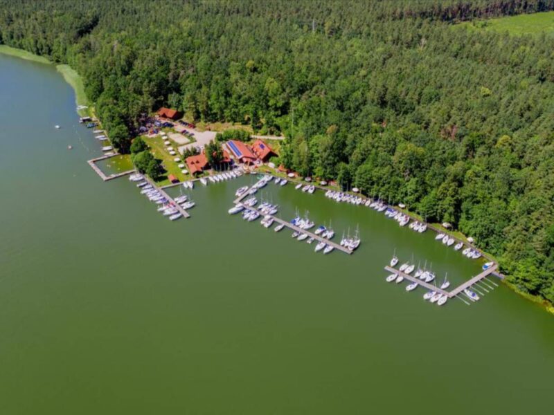 pod dębem img (1)
